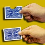 Bite & Back Card - Bicycle