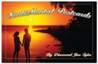 SentiMental Postcards - DJT
