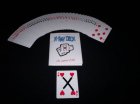 X-Ray Deck - Rachel Wild