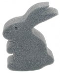 Grey Hare