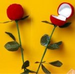 Wedding Magic - Rose to Ring Box