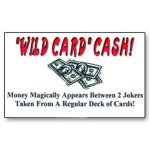 Wild Card Cash - Rachel Wild