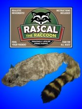 Rascal Raccoon - Spring Puppet