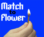 Match To Flower - Feather